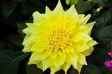 《Ekoh Beach》2025年4月登陆Steam 都市生活模拟